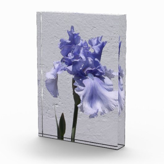 Iris Bloom Fotoblokken (Rechts)