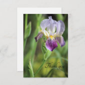 Iris Bloom in de zon Bedankkaart (Voorkant / Achterkant)