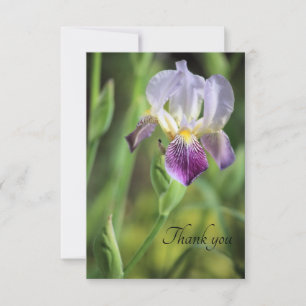 Iris Bloom in de zon Bedankkaart