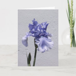 Iris Bloom Kaart