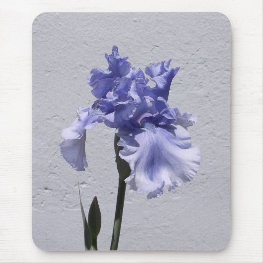Iris Bloom Muismat (Voorkant)