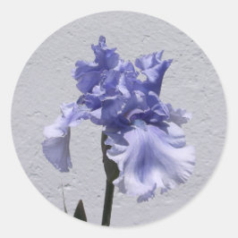 Iris Bloom Ronde Sticker