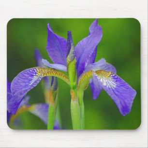 Iris Blue Flower Mousepad Muismat