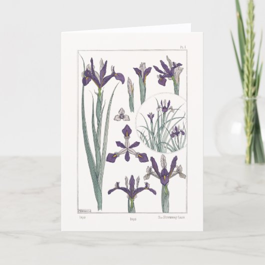 Iris Botanical Maurice Verneuil Blank Card Kaart (Voorkant)