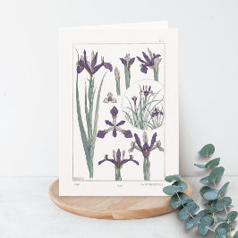 Iris Botanical Maurice Verneuil Blank Card Kaart