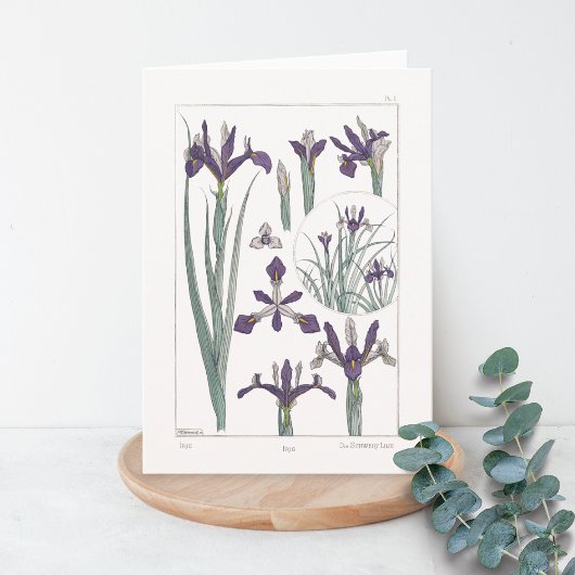 Iris Botanical Maurice Verneuil Blank Card Kaart