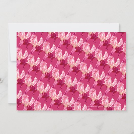 Iris botanische kunst rood roze bruiloft uitnodigi kaart (Achterkant)