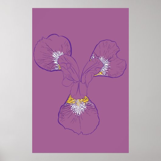 Iris botanische lijnkunst poster (Voorkant)