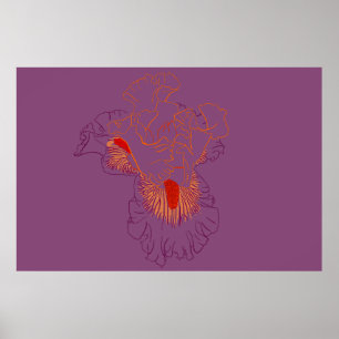 Iris botanische lijnkunst poster
