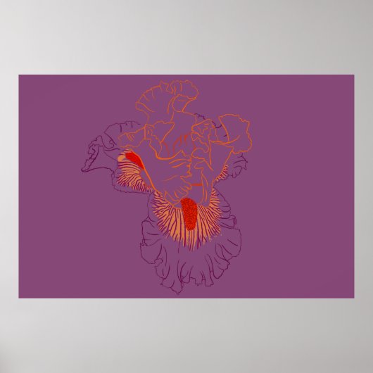 Iris botanische lijnkunst poster (Voorkant)