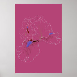 Iris botanische lijnkunst poster