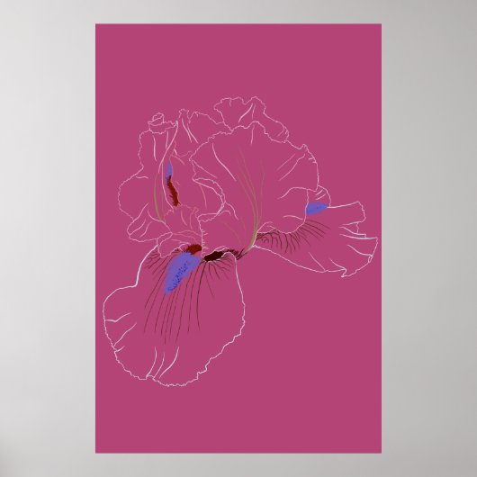 Iris botanische lijnkunst poster (Voorkant)