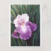 Iris Briefkaart (Voorkant)
