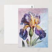 Iris Briefkaart (Voorkant / Achterkant)
