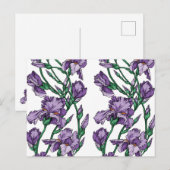 Iris Briefkaart (Voorkant / Achterkant)