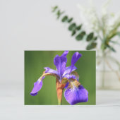 iris briefkaart (Staand voorkant)