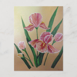 Iris Briefkaart
