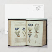 Iris Briefkaart (Voorkant / Achterkant)