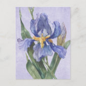 Iris Briefkaart (Voorkant)