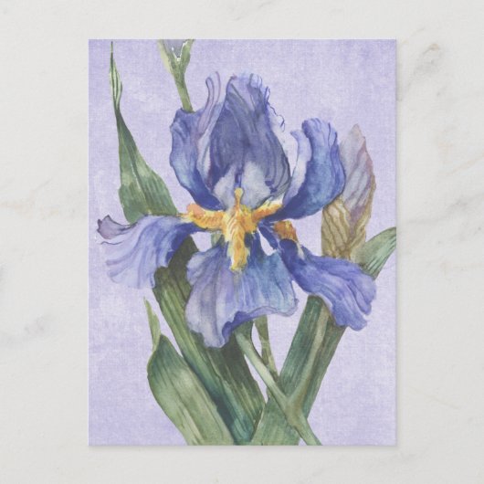 Iris Briefkaart (Voorkant)