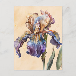 Iris Briefkaart