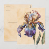 Iris Briefkaart (Voorkant / Achterkant)