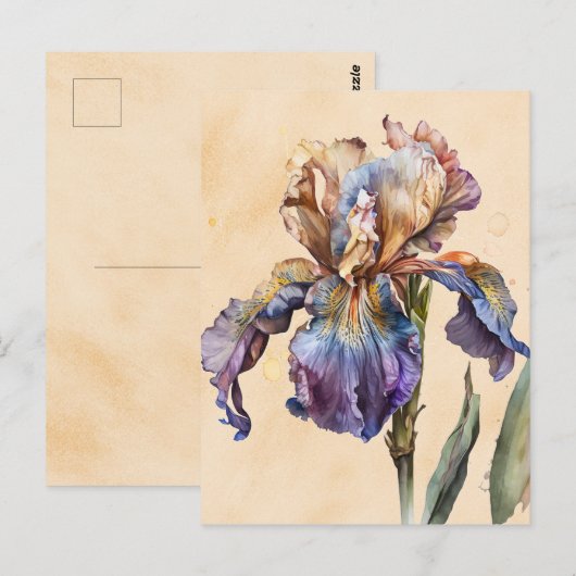 Iris Briefkaart (Voorkant / Achterkant)