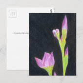 Iris briefkaart (Voorkant / Achterkant)