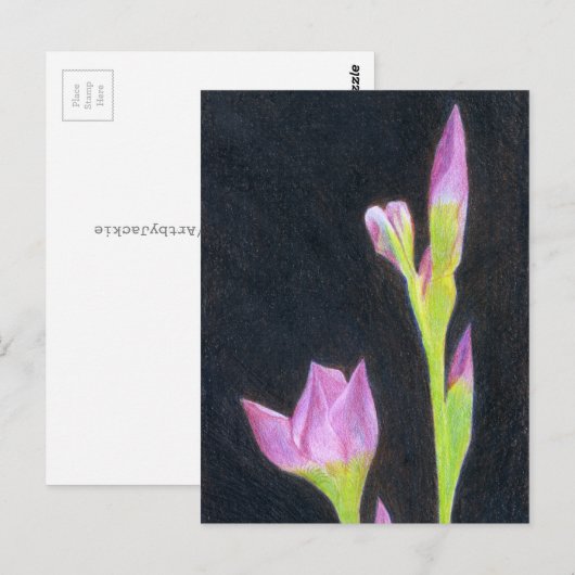 Iris briefkaart (Voorkant / Achterkant)