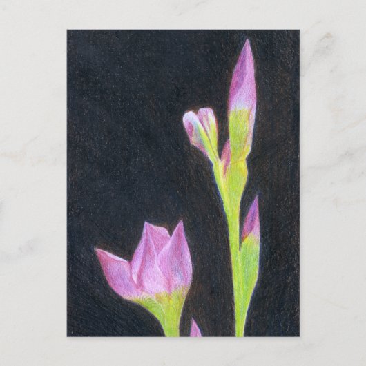 Iris briefkaart (Voorkant)