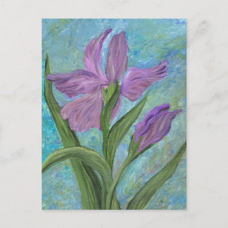 Iris Briefkaart