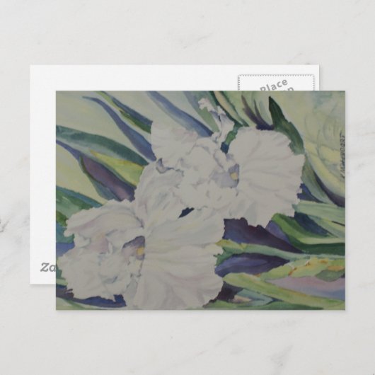 Iris Briefkaart (Voorkant / Achterkant)