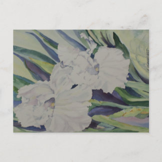 Iris Briefkaart