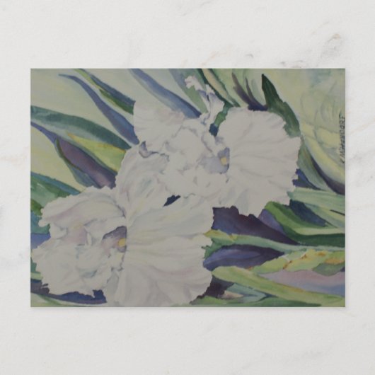 Iris Briefkaart (Voorkant)