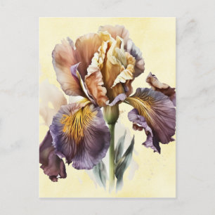 Iris Briefkaart