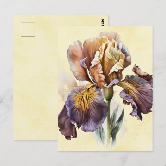 Iris Briefkaart (Voorkant / Achterkant)