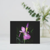 IRIS BRIEFKAART (Staand voorkant)