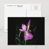 IRIS BRIEFKAART (Voorkant / Achterkant)