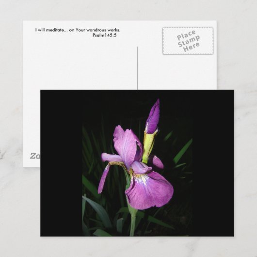 IRIS BRIEFKAART (Voorkant / Achterkant)