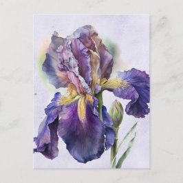 Iris Briefkaart