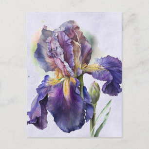 Iris Briefkaart