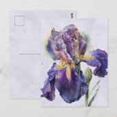 Iris Briefkaart (Voorkant / Achterkant)
