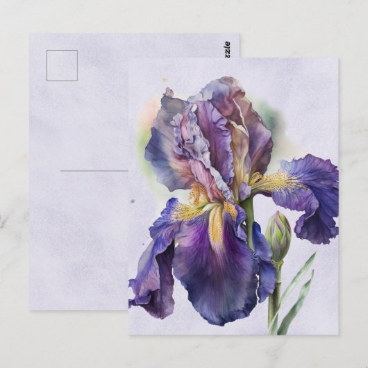 Iris Briefkaart (Voorkant / Achterkant)