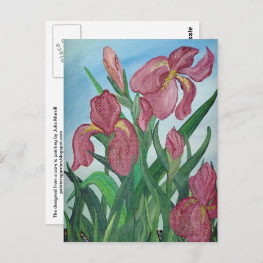 Iris Briefkaart (Voorkant / Achterkant)