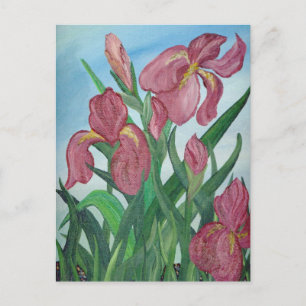 Iris Briefkaart
