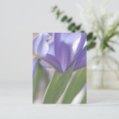 Iris Bud briefkaart (Staand voorkant)