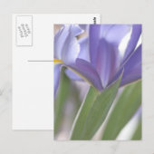 Iris Bud briefkaart (Voorkant / Achterkant)