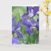 Iris Bulbs Wenskaart Kaart (Gele Bloem)