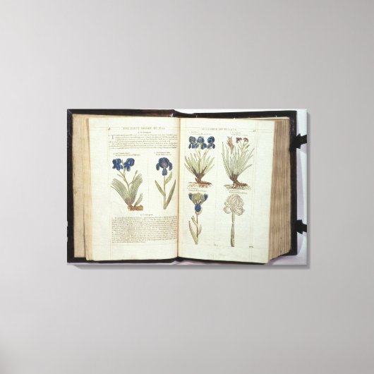 Iris Canvas Afdruk (Voorkant)