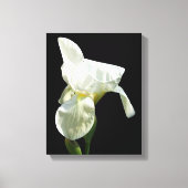 Iris Canvas afdrukken (Voorkant)